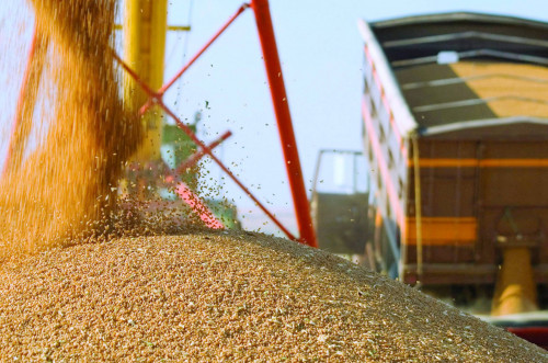 قازاقستان ەكسپورتتايتىن استىق كولەمى ارتقان