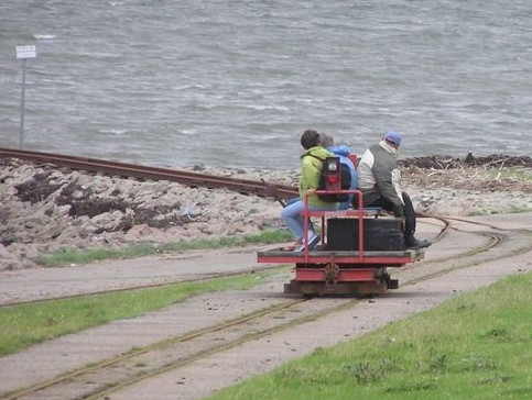 حاليگي ارالدارى