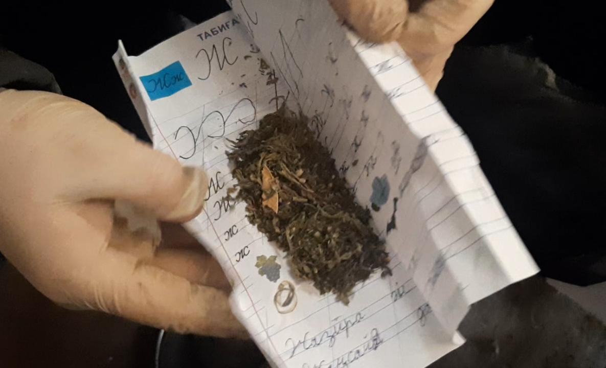 اقمولا وبلىسىندا ءبىر ايدا 24 ەسىرتكى قىلمىسى تىركەلگەن