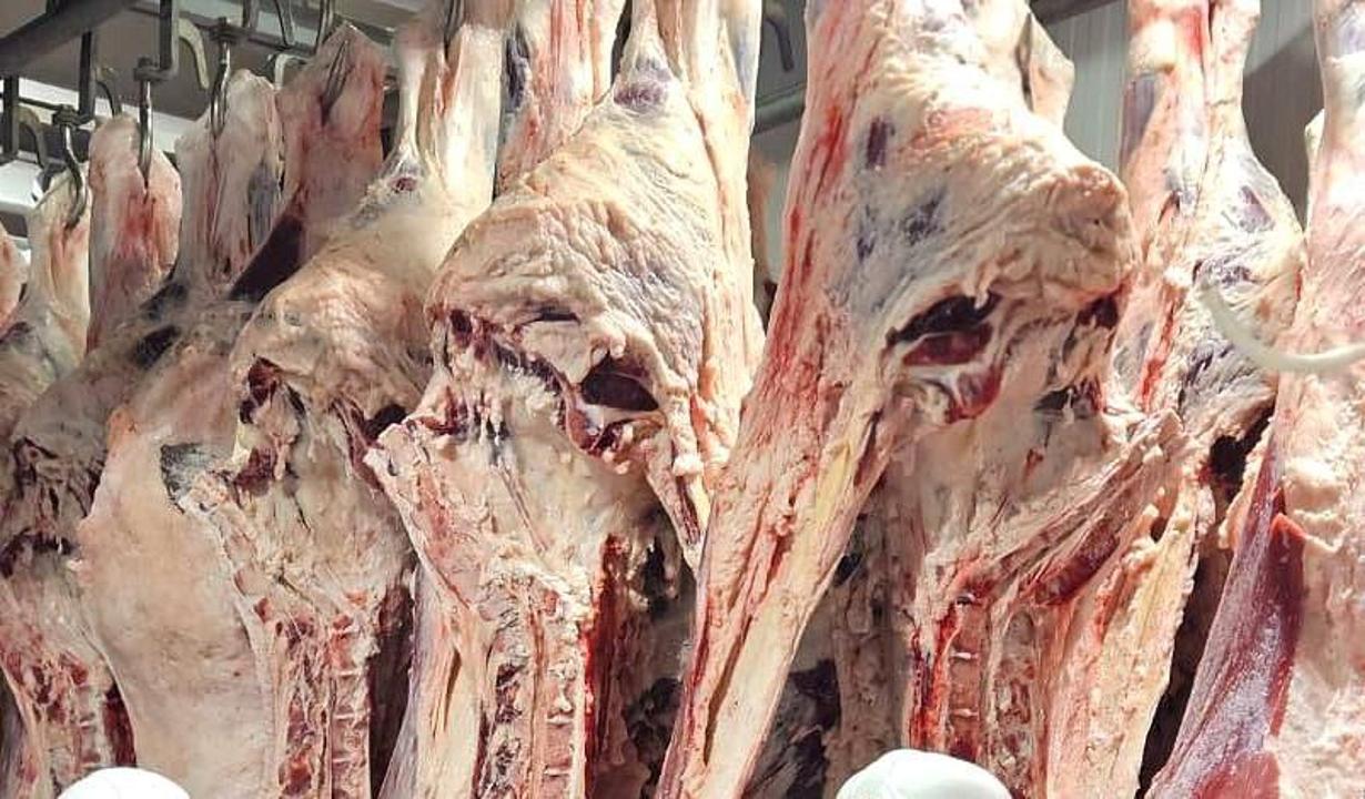 كيىك ەتى قاۋىپسىز: بارلىق كەزەڭدە ءجىتى تەكسەرىلەدى