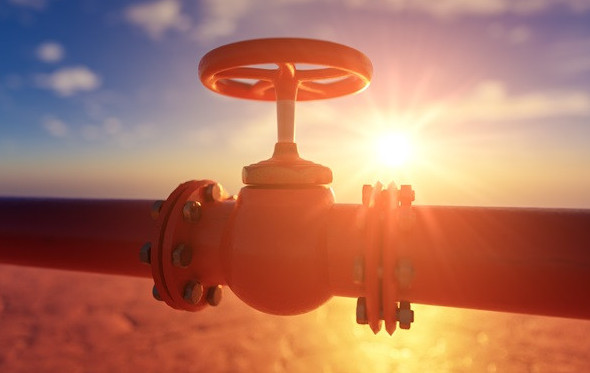 گرۋزياعا مۇناي ەكسپورتى ارتادى