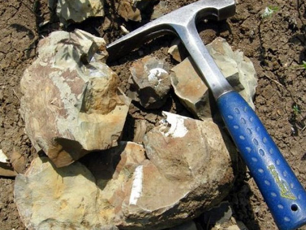 گەولوگيالىق بارلاۋعا 30 ميلليارد تەڭگە بولىنەدى