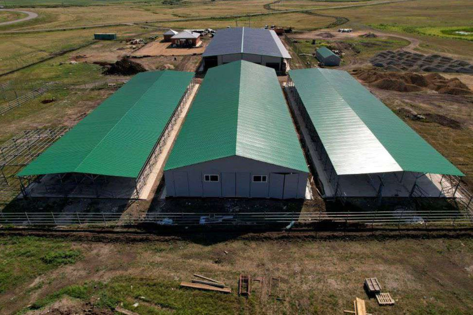 سولتۇستىك قازاقستاندا بيە ءسۇتىن وندىرەتىن زاۋىت ىسكە قوسىلادى