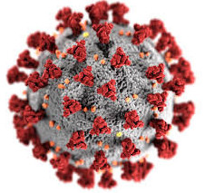 چيكۋنگۋنيا ۆيرۋسىنىڭ ىندەتكە اينالۋ قاۋپى بار