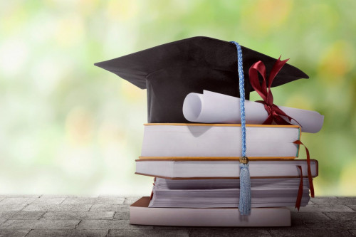 بيىل ءبىلىم گرانتتارى 19 مىڭعا قىسقارادى