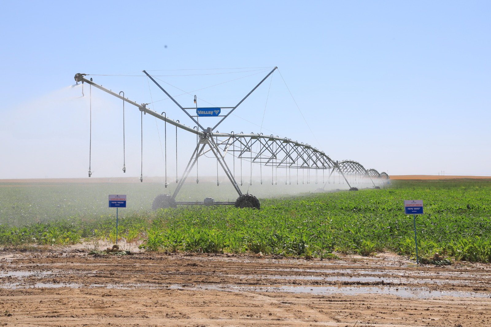 سۋ ۇنەمدەۋ – ۋاقىت تالابى