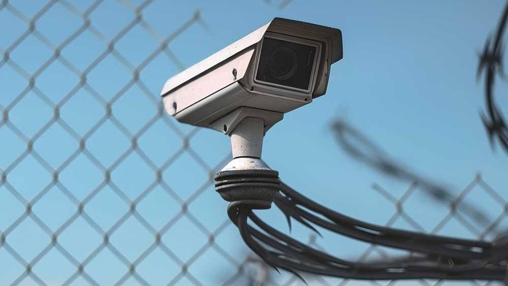 الماتىدا كامەلەتكە تولماعاندارعا ارنالعان كولونيا اشىلدى