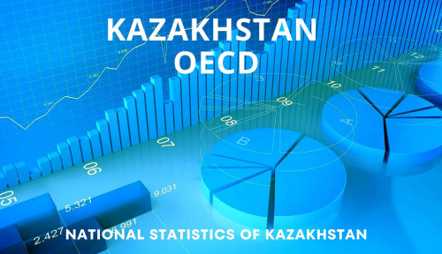 قازاقستاننىڭ ستاتيستيكالىق جۇيەسى جوعارى باعالاندى