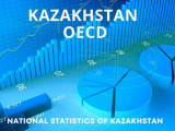قازاقستاننىڭ ستاتيستيكالىق جۇيەسى جوعارى باعالاندى
