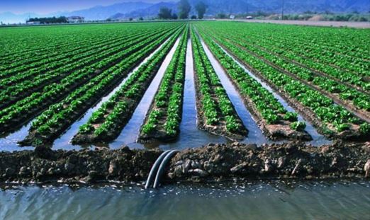 ەگىس القاپتارىنا 8 ملرد تەكشە مەتردەن استام سۋ جىبەرىلگەن