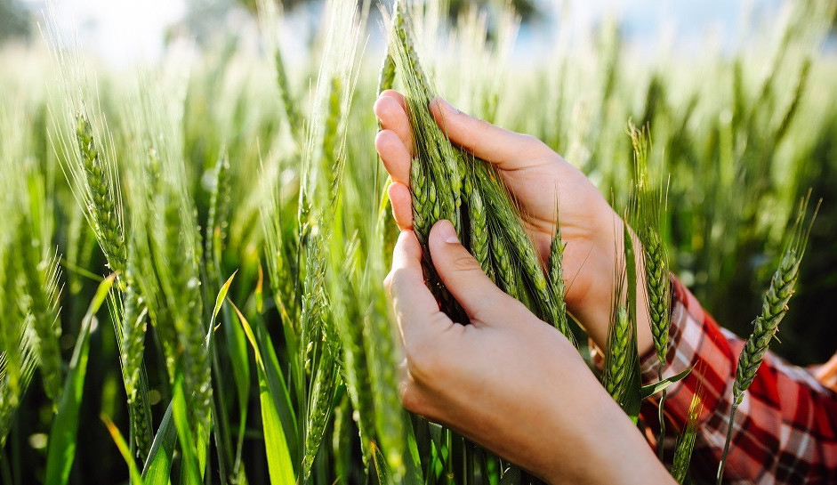 اگرارلىق سەكتوردا 6 مىڭنان استام جۇمىس ورنى اشىلادى