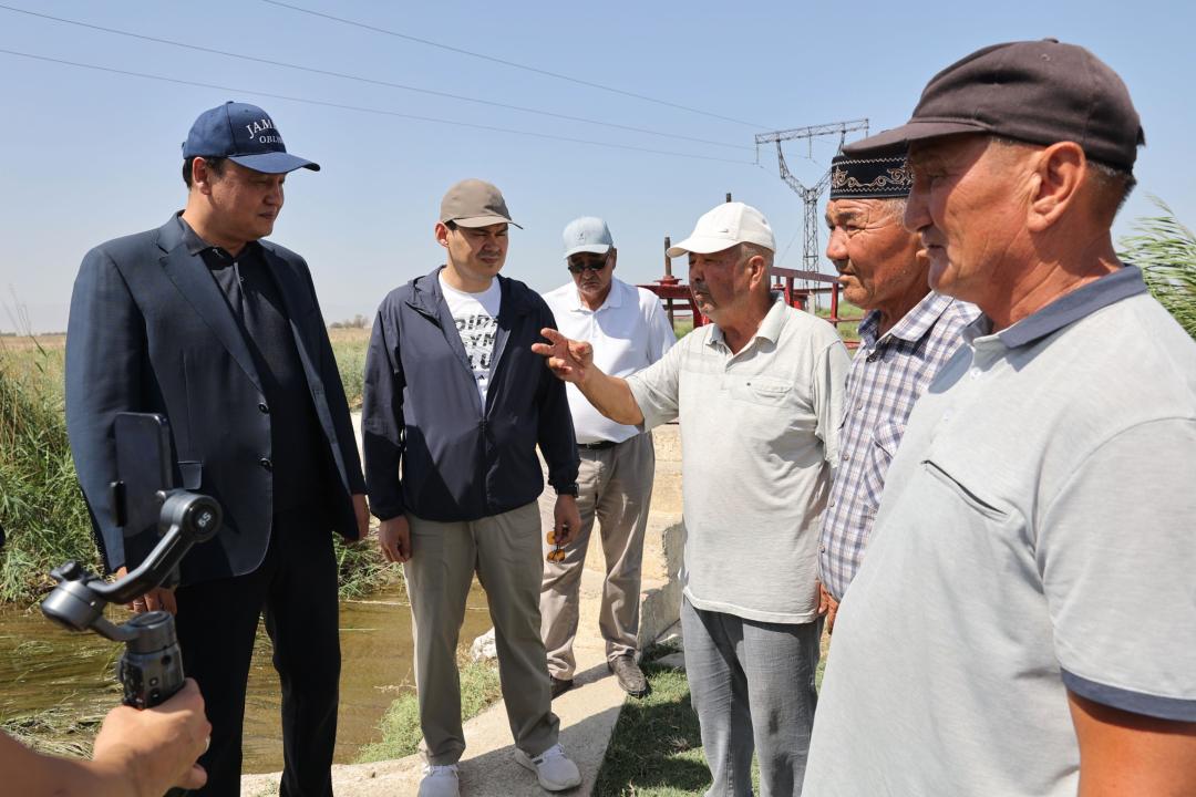 قاراشوكەەۆ ەگىستىك القاپتاردى ارالادى