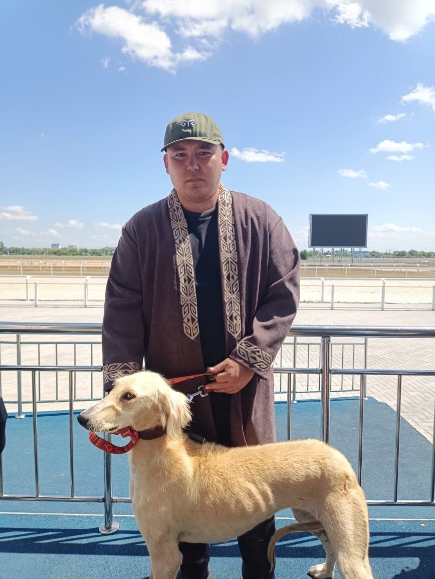 تازىنىڭ بابىن بىلگەن باعاسىن دا بىلەدى