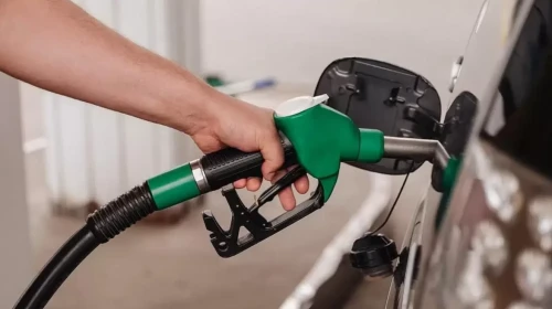 قازاقستاندا جانارماي باعاسى قىمباتتاۋى مۇمكىن