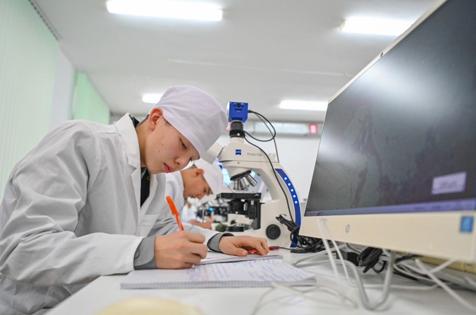 جۇيەگە تىركەلۋ كورسەتكىشى كوڭىل كونشىتپەيدى