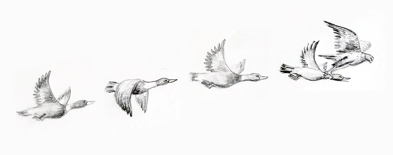 قارشىعا مەن قازدىڭ «تۇيە تىركەۋى»