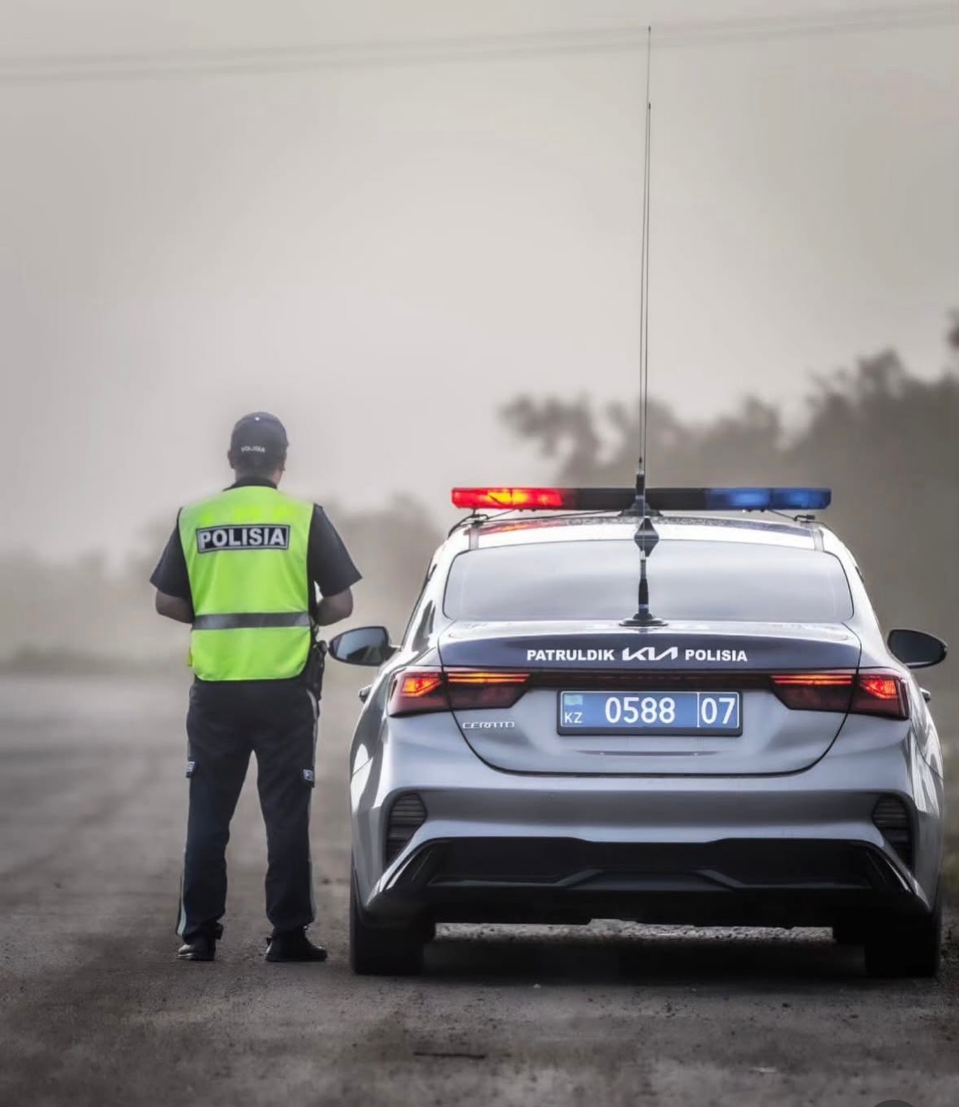 جول اپاتى ازايماي تۇر