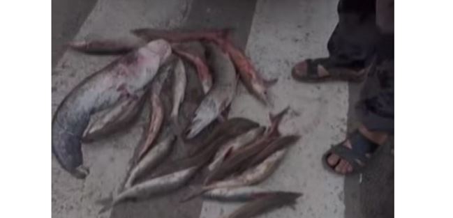 بقو تۇرعىنى بەكىرە تاسىمالداپ ۇستالدى