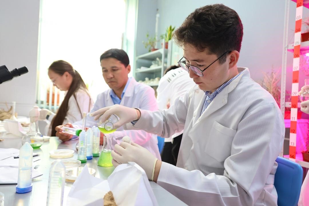 ىلكىمدى ىزدەنىس ناتيجەسى