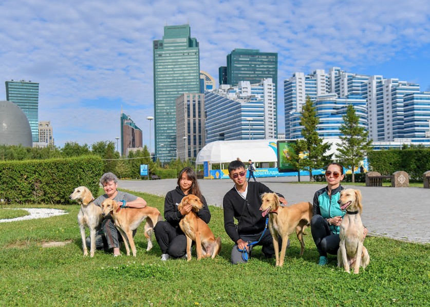 قازاق تازىسى حالىقارالىق كورمەگە قاتىسادى