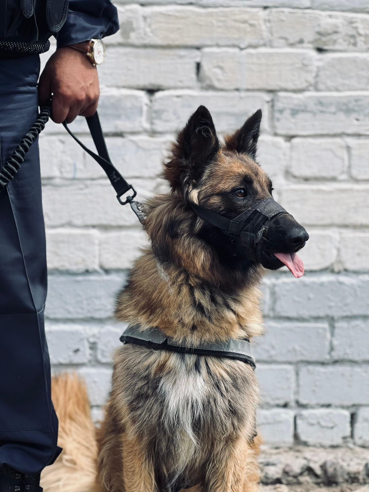 ۇلتتىق ۇلاننىڭ قىزمەتتىك ءيتى جوعالعان ەكى قىزدى ىزدەپ تاپتى