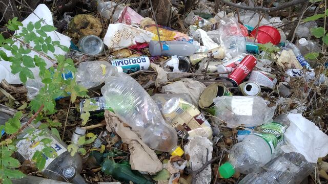 تازالىق قىزمەتى قىراعى باقىلانادى