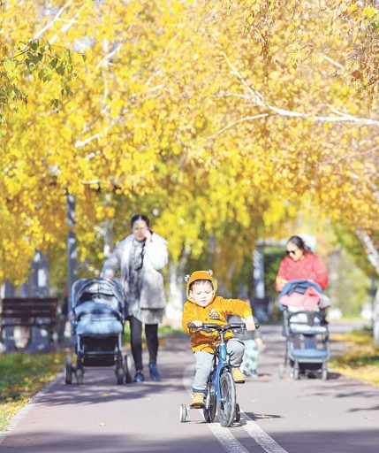 «التىن القالى» انالار نەگە ازايىپ بارادى؟