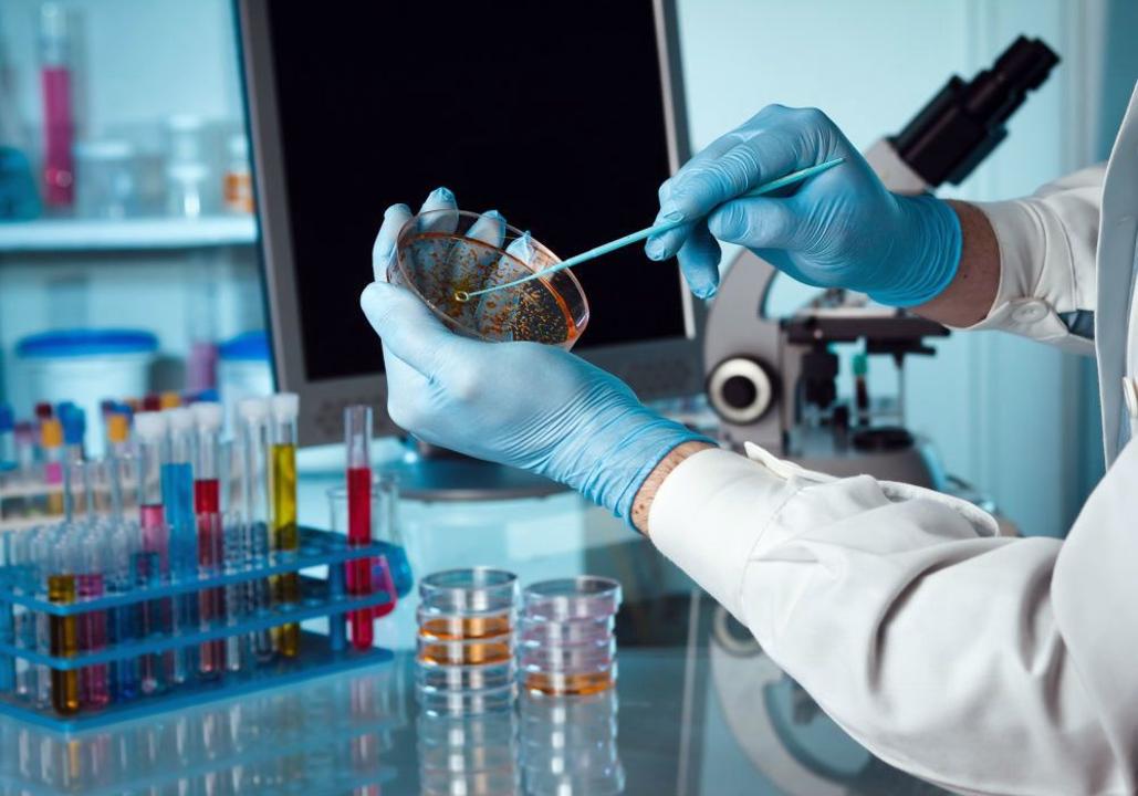 ەلىمىزدە اگرارلىق تەحنوپارك قۇرۋ جوباسى قولعا الىندى