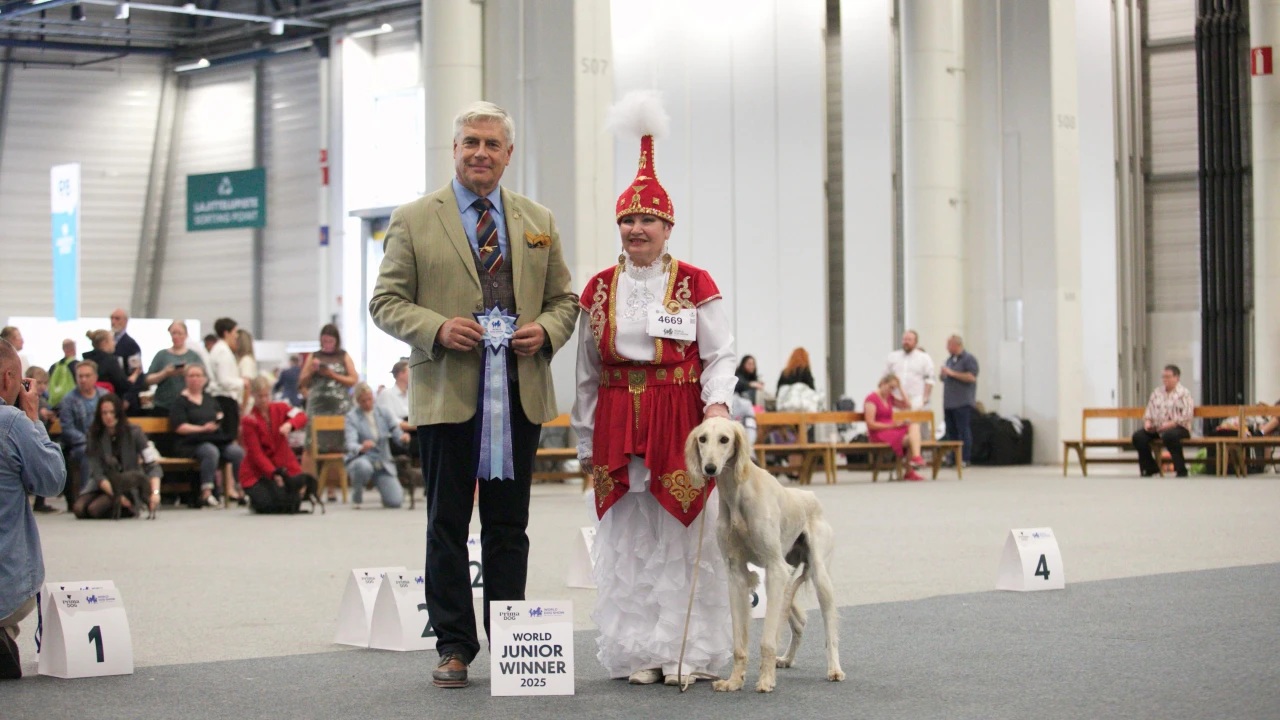 تازى تۇقىمى – الەم چەمپيوندارى