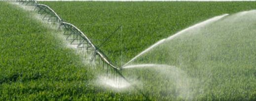 سۋ ۇنەمدەۋدىڭ جاڭا تەتىكتەرى ازىرلەندى