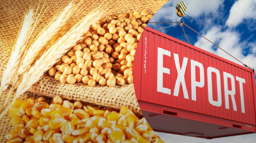 قازاقستاننىڭ قىتايعا اگروەكسپورتى 10%-عا ءوستى