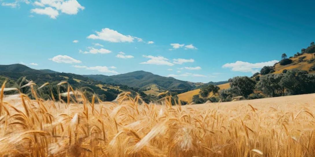 قازاقستاننىڭ استىق ەكسپورتىنىڭ گەوگرافيالىق اۋماعى كەڭەيدى