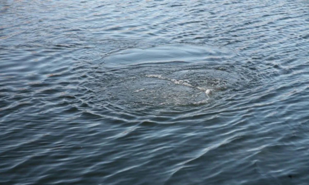 پاۆلودار وبلىسىنىڭ سۋ ايدىندارىندا 14 ادام باتىپ كەتكەن