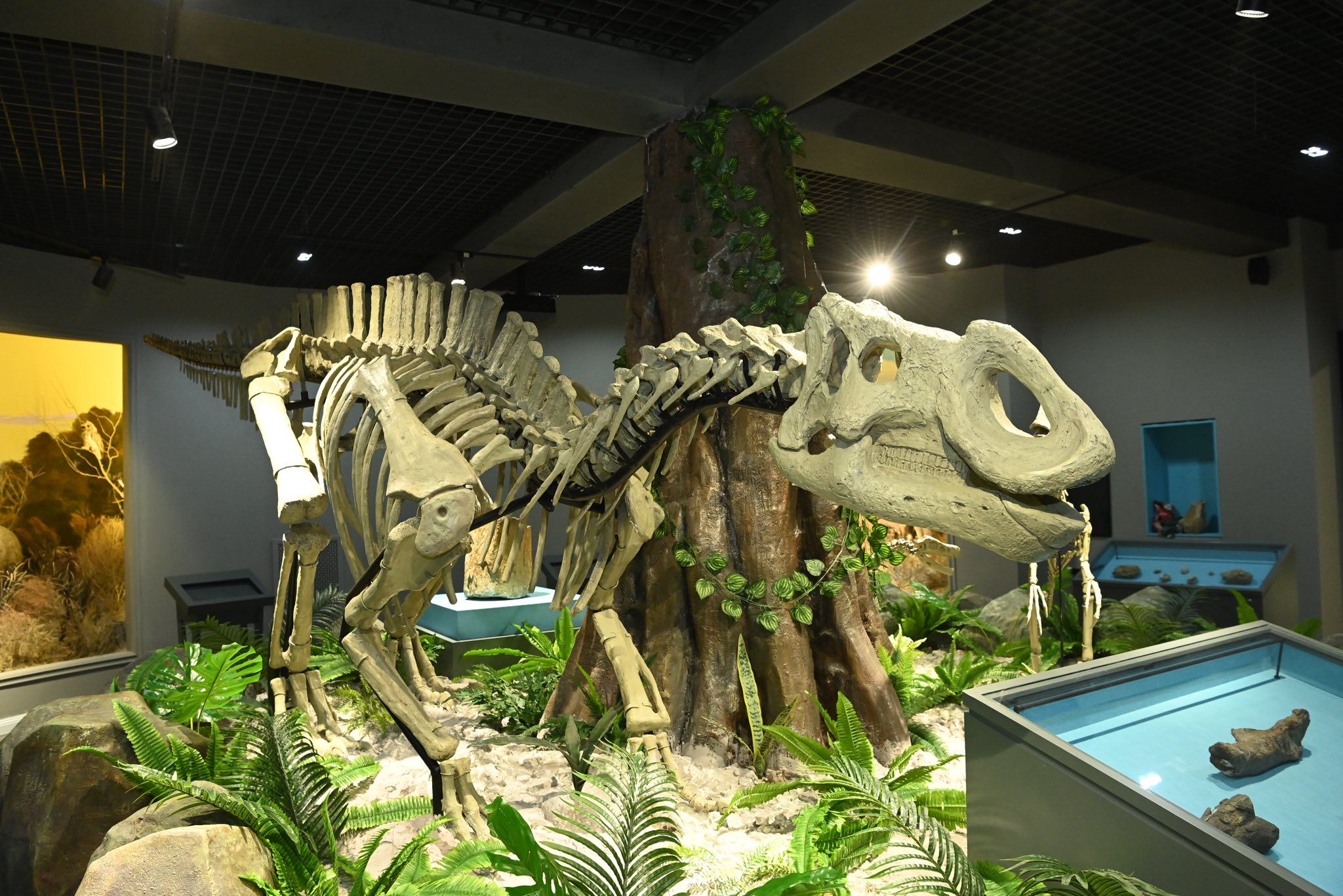 «ارالوزاۆر» سىرعا قايتا ورالدى