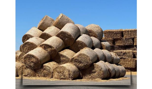 ەلىمىزدە مال ازىعىن ازىرلەۋ جۇمىستارى قارقىندى ءجۇرىپ جاتىر