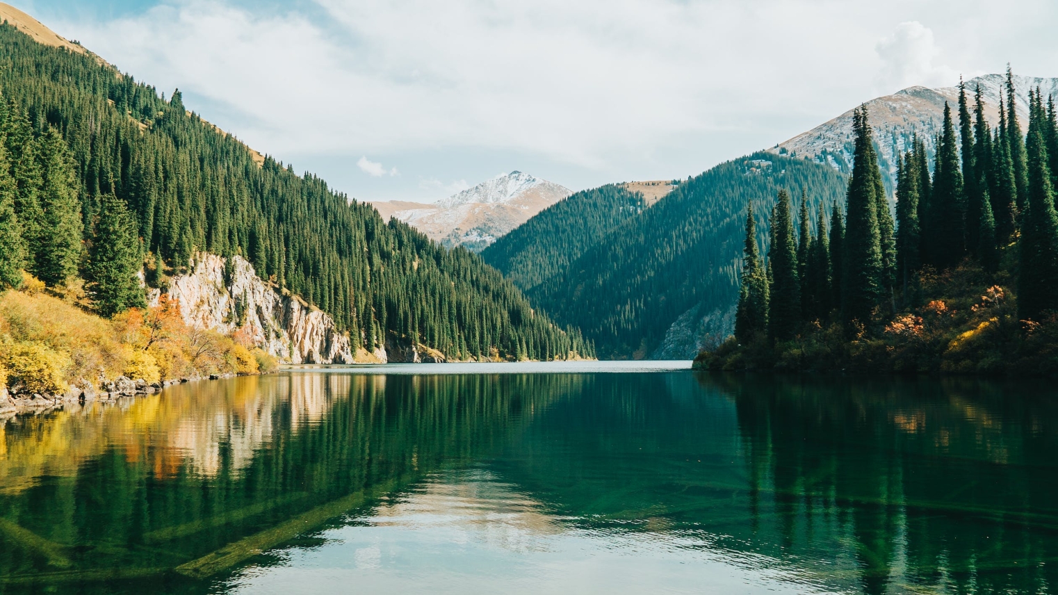 اراب ەلدەرى قىزىعۋشىلىق تانىتىپ وتىر