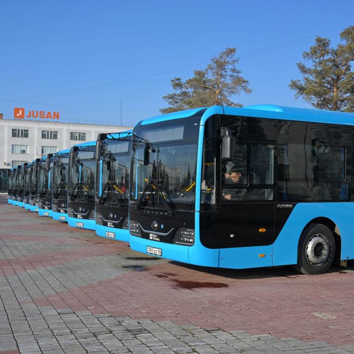 پاۆلوداردا قوعامدىق كولىك باعىتتارى وڭتايلاندىرىلىپ جاتىر