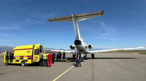 بەستەرەكتەگى جول اپاتىنان زارداپ شەككەن ەكى بالا استاناعا جەتكىزىلەدى