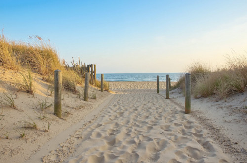 ۇزدىك جاعاجاي  انىقتالدى