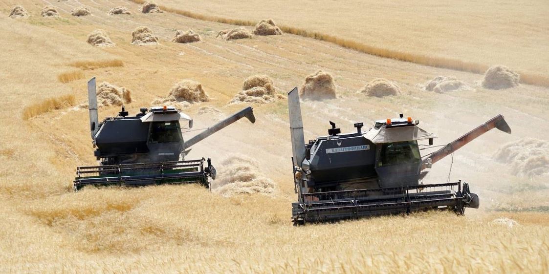 وڭتۇستىكتە ەگىن جيناۋ ناۋقانى اياقتالۋعا جاقىن