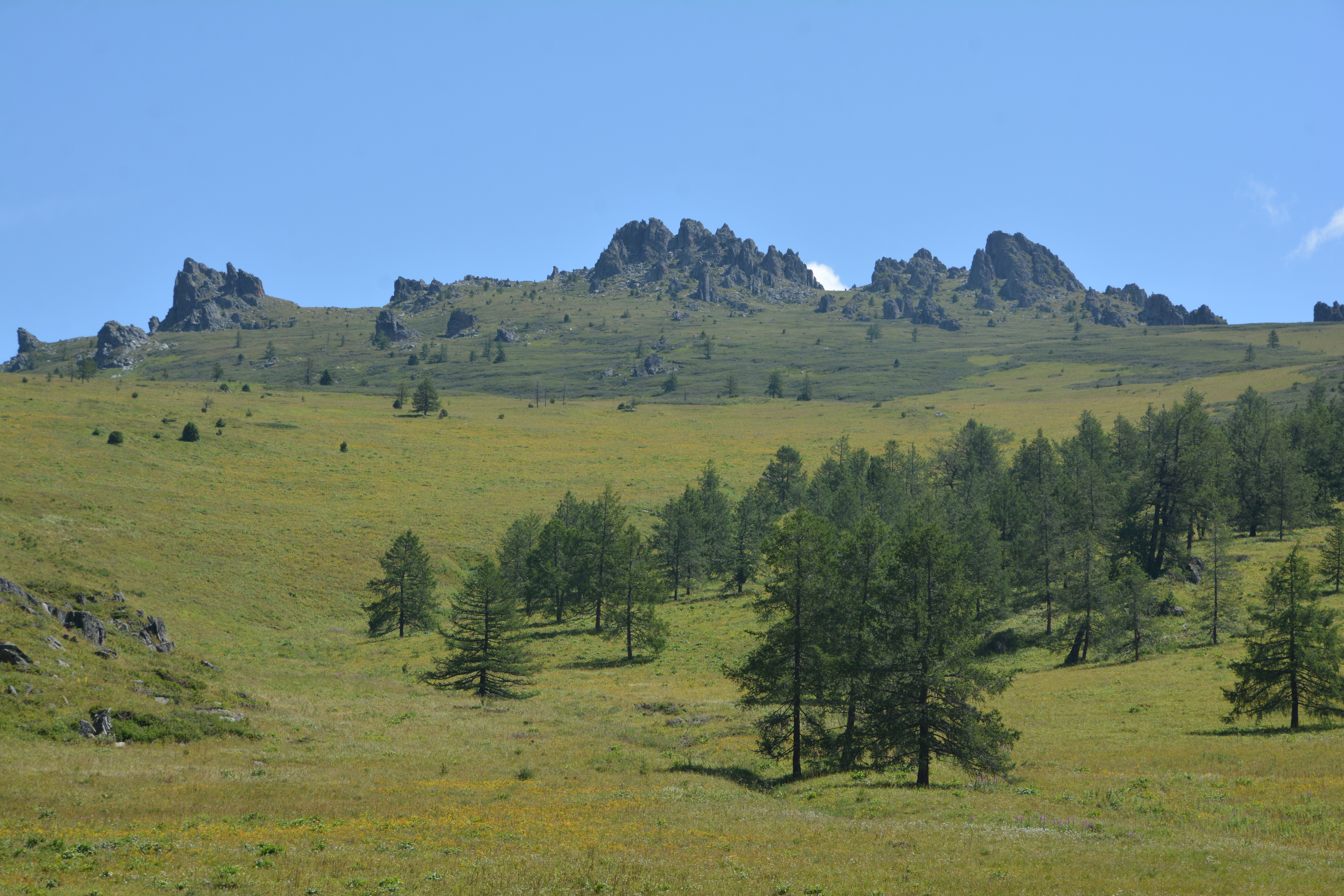 شقو ورماندارىن ورتتەن قورعاۋ شارالارى كۇشەيتىلدى