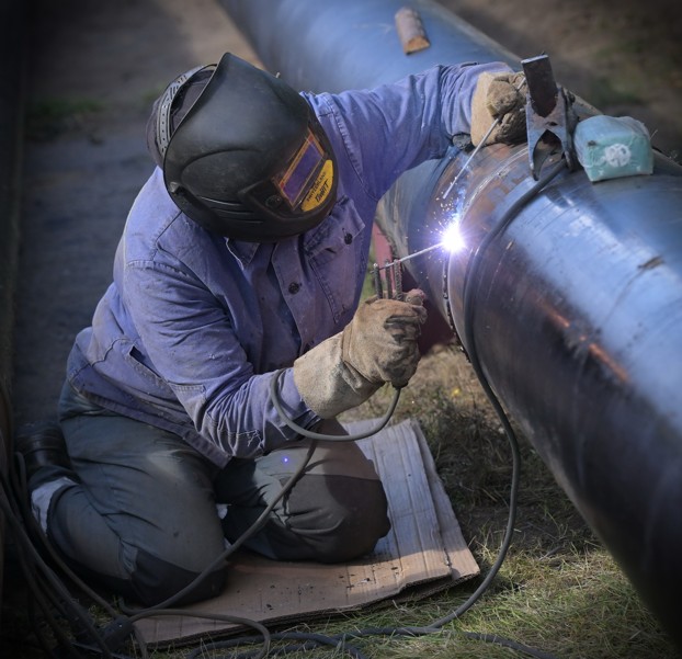 جىلۋ ماۋسىمىنا تياناقتى قامدانىس