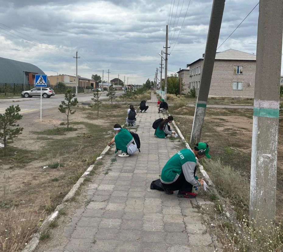  ۇلىتاۋ وبلىسىندا جاپپاي سەنبىلىك ءوتتى