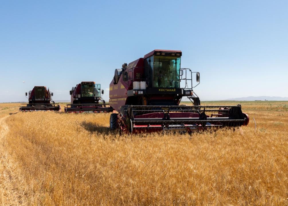 4 ميلليون تونناعا جۋىق اۋىل شارۋاشىلىعى ءونىمىن جيناماق