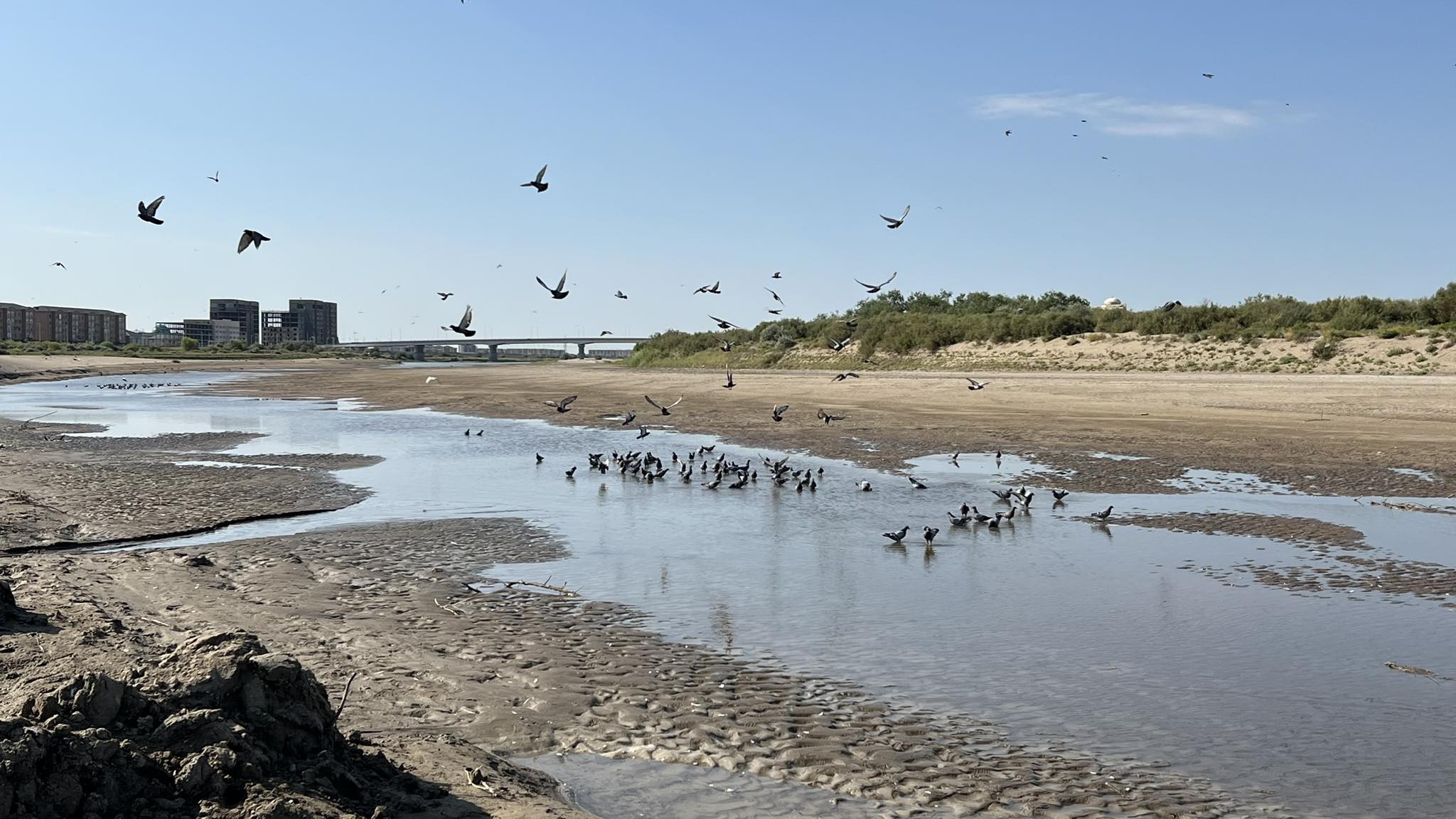 «كۇرىشتى كوبەيتەمىز» دەپ ارالدى قۇرعاتىپ المايمىز با؟