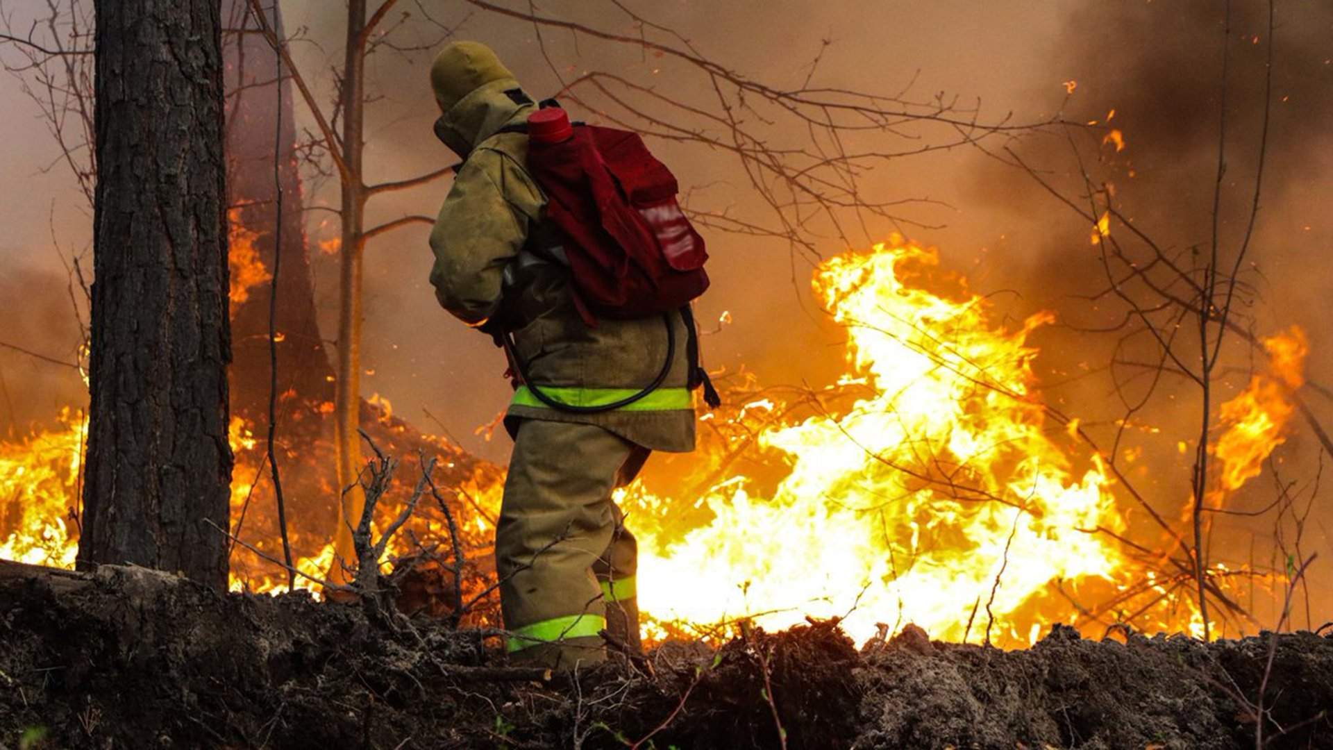 رەسەيدىڭ ءتورت وڭىرىندە ورمان ورتىنە بايلانىستى توتەنشە جاعداي جاريالاندى
