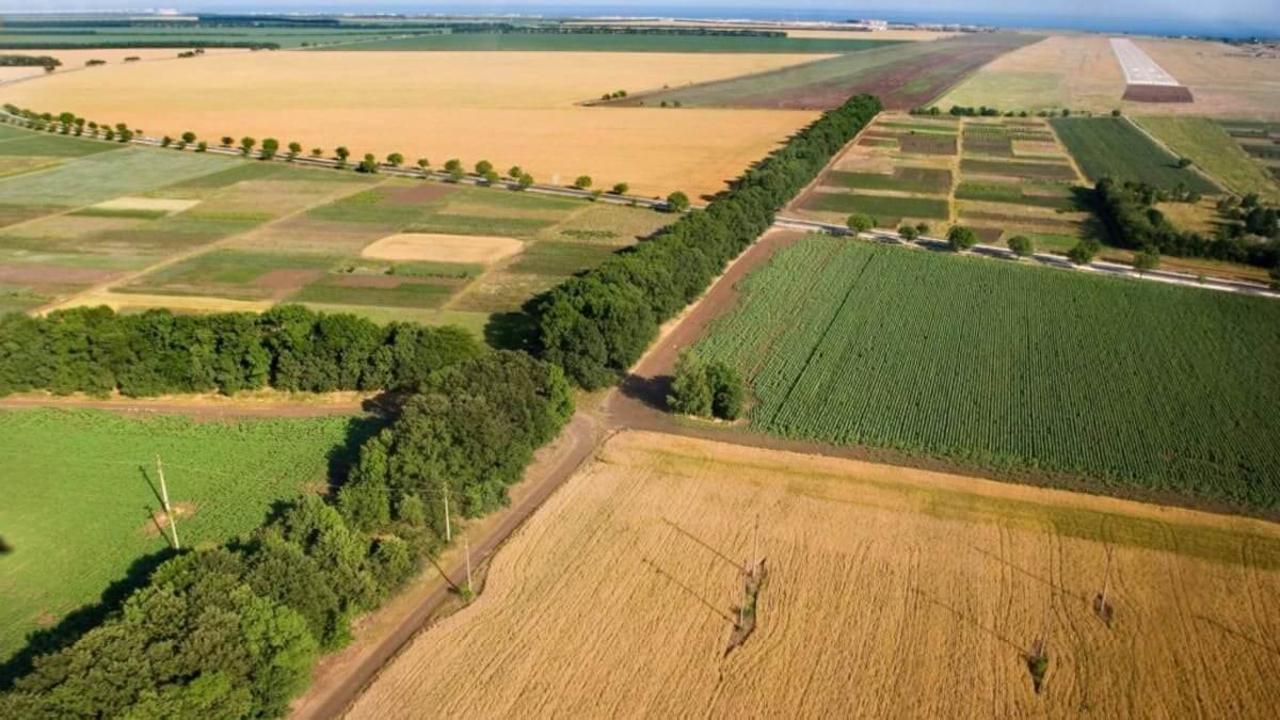 الاتاۋ قالاسىندا 5 ملرد تەڭگەنىڭ جەرى مەملەكەتكە قايتارىلدى