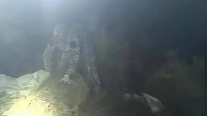 جامبىل وبلىسىندا 200 كەلىدەن استام ەسىرتكى تاركىلەندى