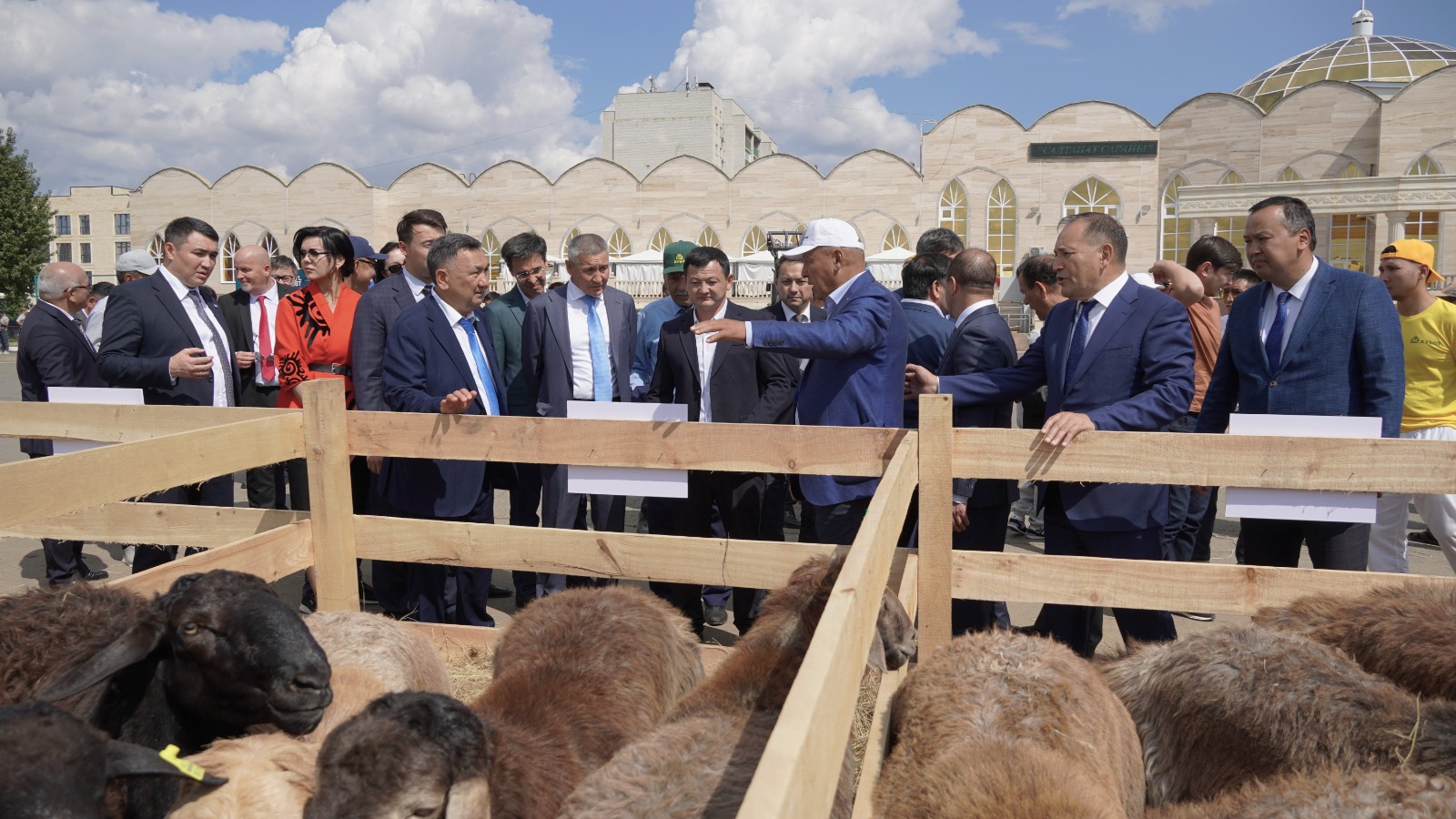 قوي سانى كەمىپ بارادى