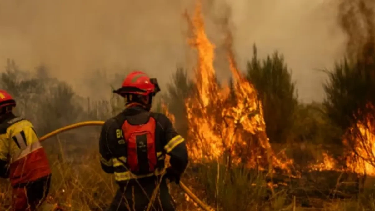 يسپانيادا ورمان ورتىنە قاتىسى بار 48 ادام ۇستالدى